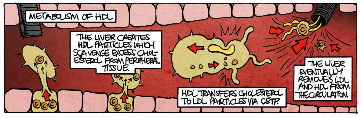 Comics Journalism is Just What the Doctor Ordered Comics Journalism is Just What the Doctor Ordered